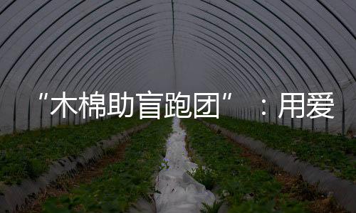 “木棉助盲跑团”：用爱陪视障跑者奔赴汉马赛场
