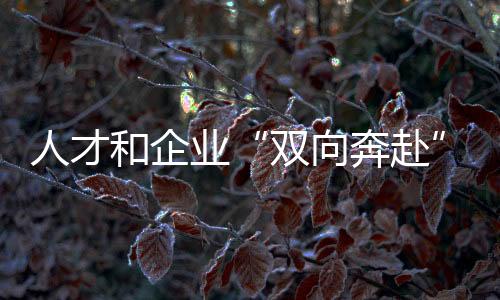 人才和企业“双向奔赴”!全国青年职业技能大赛学生组决赛闭幕