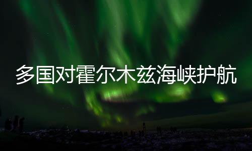 山西花纹卷多少钱一吨