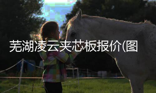 伟晴大健康呼吸机找哪家