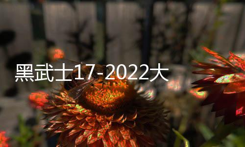 黑武士17-2022大众途观L丹当拿音响进口音响汽车音响原装喇叭高配