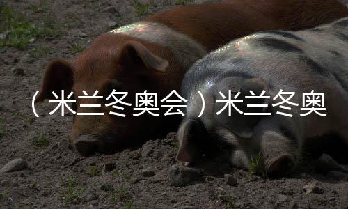 (米兰冬奥会)米兰冬奥会在历史古迹维罗纳竞技场闭幕